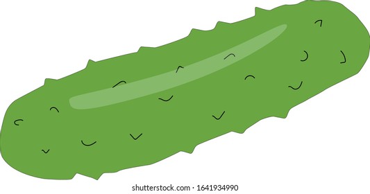 fresh green cucumber illustration vector