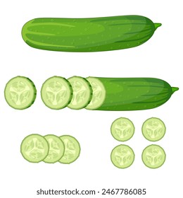 Fresh green cucumber slice on white background. vector illustration in flat design