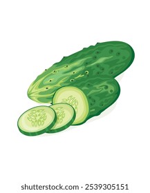 Fresh green cucumber slice on white background. vector illustration in flat design