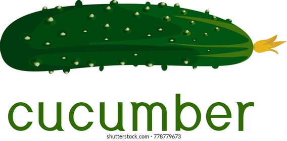 Fresh green cucumber with title on white background