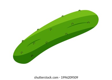 Fresh green cucumber, vector illustration of a vegetable on a white background. Flat style.