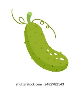 Pepino verde fresco. Ilustración vectorial.