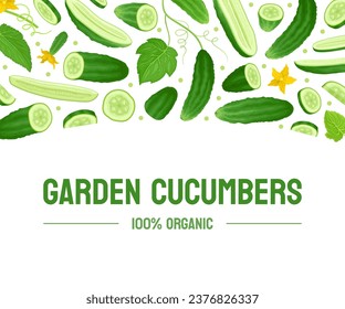 Fresh Green Cucumber Vegetable Banner Design Vector Template