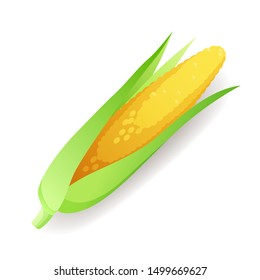 Fresh green cucumbers icon isolated on white background, farm organic healthy food, vegetable, vector illustration