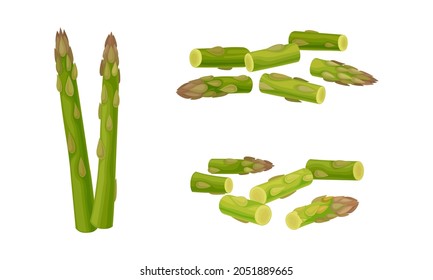 Fresh Green Cultivated Asparagus or Sparrow Grass Vector Set