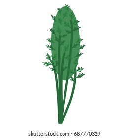 Fresh green dill icon, vector illustration flat style design isolated on white. Colorful graphics