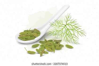 Fresh Green fennel seeds vector illustration with fennel leaves