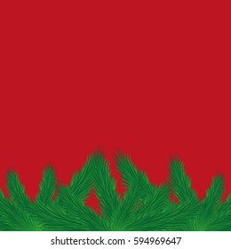 Fresh green fir branch close up with copy space isolated on red background