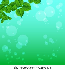 Fresh green foliage. Nature background. Spring / summer background. Close-up. Concept: Save the beauty of nature.