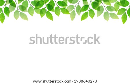 
Fresh green frame vector illustration (copy space, banner)