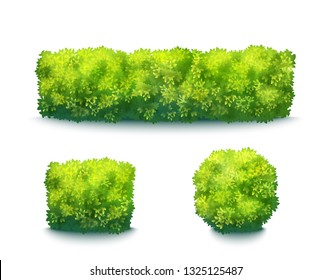 Fresh Green Garden Hedges Isolated On White. Vector Realistic Set