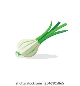 
Fresh green garlic isolated flat vector illustration white background.