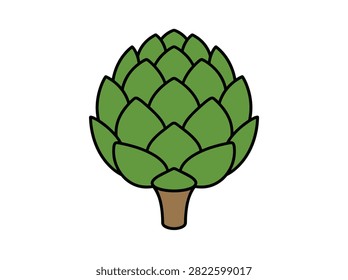 Fresh green globe artichoke vector illustration isolated on white background