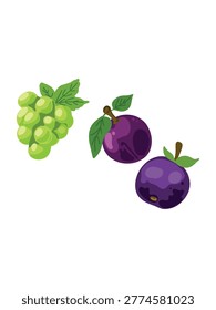 fresh green grape bunch and ripe plums on white background minimalism