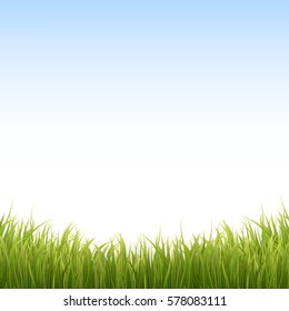 Fresh green grass and blue sky. Spring or summer background. Vector Illustration.