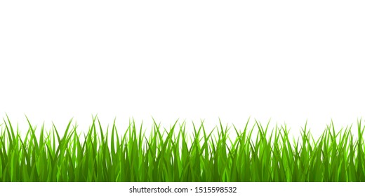 Fresh green grass border. vector illustrastion