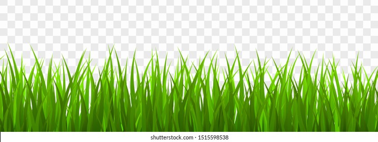Fresh green grass border. vector illustrastion
