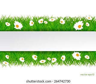 Fresh green grass and chamomile with white sticker. vector eps10.