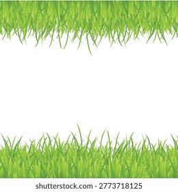 Fresh Green Grass Close-Up with Sunlight