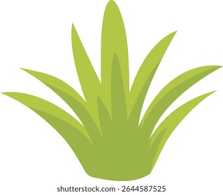 Fresh green grass clump with tall pointed leaves, perfect for garden decoration, lawn design, spring nature backgrounds, eco-friendly visuals, outdoor scenery, and natural environment illustrations.