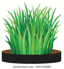 Fresh Green Grass Cluster Growing in Soil Vector Illustration