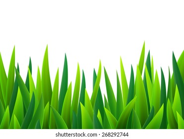 Fresh green grass, isolated over white, vector illustration