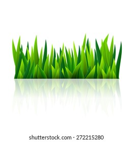 Fresh green grass, isolated over white, vector illustration