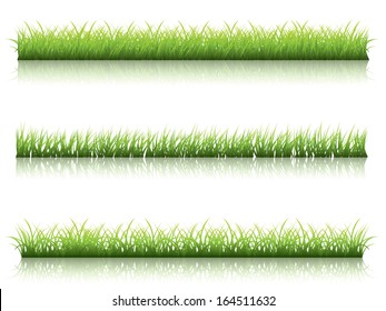 Fresh green grass line with reflection on white background.