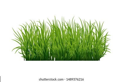 Fresh green grass: natural, organic, bio, eco label and shape isolated on white background. Vector illustration. Original realistic grass 3d texture. 