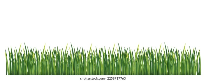 Fresh green grass: natural, organic, bio, eco label and shape isolated on white background. Vector illustration.