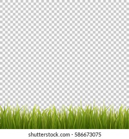 Fresh green grass on transparent background. Spring or summer. Vector Illustration.