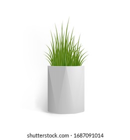 Fresh green grass in a rectangular white pot. Pot in the loft style. Home decor element. Symbol of growth and ecology. Vector realistic illustration isolated.