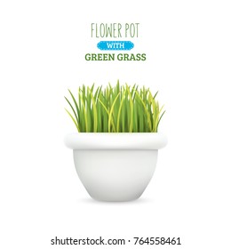 Fresh green grass in a round pot. Element of home decor. The symbol of growth and ecology. Vector realistic illustration, isolated.