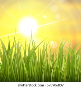 Fresh green grass. Sunburst with sun flare on green grass. Colorful sunset or sunrise. Spring or summer bokeh background. Vector Illustration.