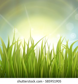 Fresh green grass. Sunburst with sun flare on green grass. Colorful sunset or sunrise. Spring or summer bokeh background. Vector Illustration.