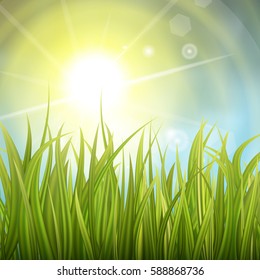 Fresh green grass. Sunburst with sun flare on green grass. Colorful sunset or sunrise. Spring or summer bokeh background. Vector Illustration.