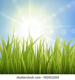 Fresh green grass. Sunburst with sun flare on green grass. Colorful sunset or sunrise. Spring or summer bokeh background. Vector Illustration.