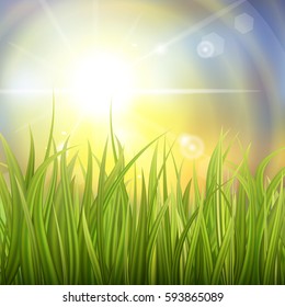 Fresh green grass. Sunburst with sun flare on green grass. Colorful sunset or sunrise. Spring or summer bokeh background. Vector Illustration.