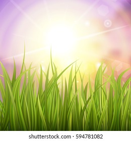 Fresh green grass. Sunburst with sun flare on green grass. Colorful sunset or sunrise. Spring or summer bokeh background. Vector Illustration.