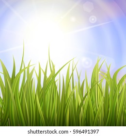 Fresh green grass. Sunburst with sun flare on green grass. Colorful sunset or sunrise. Spring or summer bokeh background. Vector Illustration.