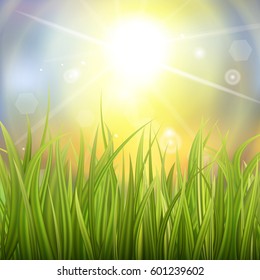 Fresh green grass. Sunburst with sun flare on green grass. Colorful sunset or sunrise. Spring or summer bokeh background. Vector Illustration.