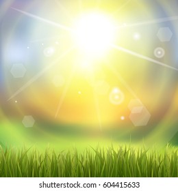 Fresh green grass. Sunburst with sun flare on green grass. Colorful sunset or sunrise. Spring or summer bokeh background. Vector Illustration.