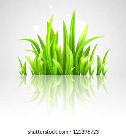 fresh green grass vector illustration