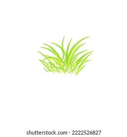 fresh green grass vector illustration