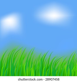 Fresh green grass. Vector illustration.