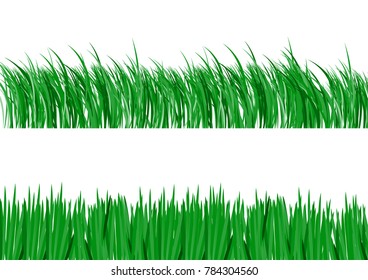 Fresh green grass vector isolated on white background.