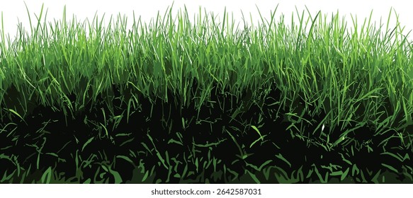 Fresh green grass vector, natural grass cut out, grassy texture, eco friendly, vibrant spring grass, isolated greenery, fresh leaves, nature background, lush grass, environmental design