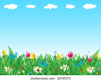 Fresh green grass and wild flowers horizontal vector background ( for high res JPEG or TIFF see image 30749374 )
