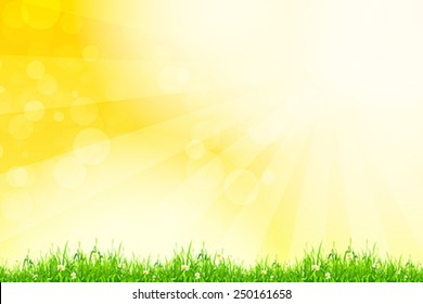 Fresh green grass with yellow bokeh and sunlight and flowers. Beauty natural background