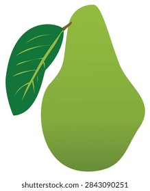 Fresh Green Guava Fruit Vector Illustration, Healthy Tropical Pear Clipart